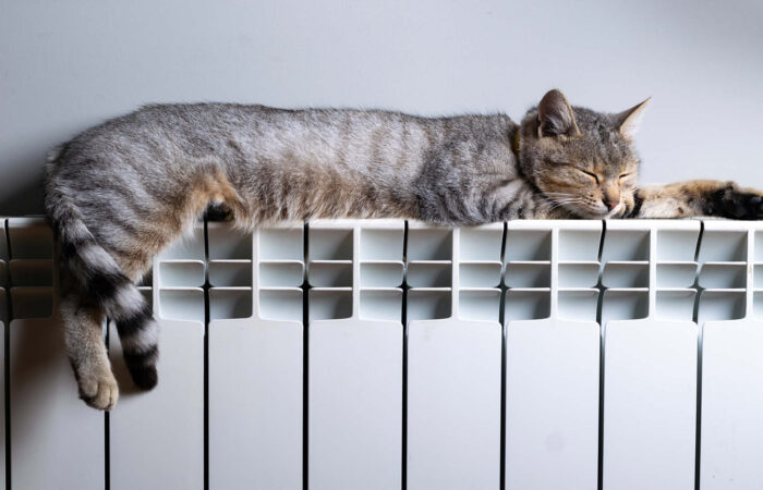 chat tigré allongé sur un radiateur