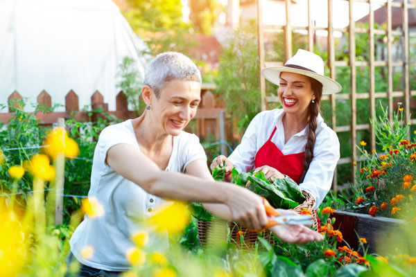 Deux femmes dans un potager en train de rire