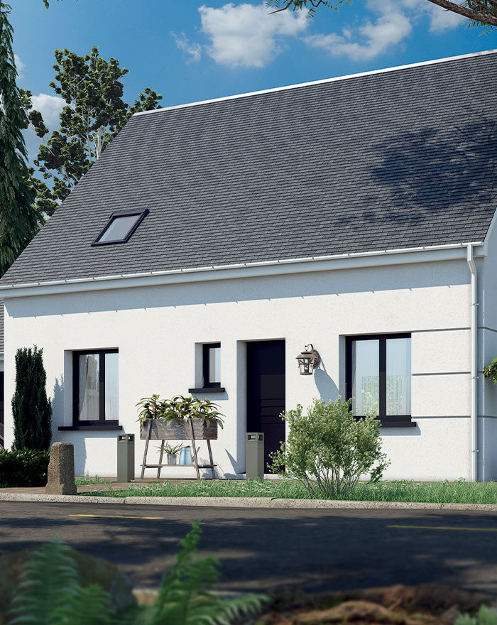 Maison traditionnelle en 3D