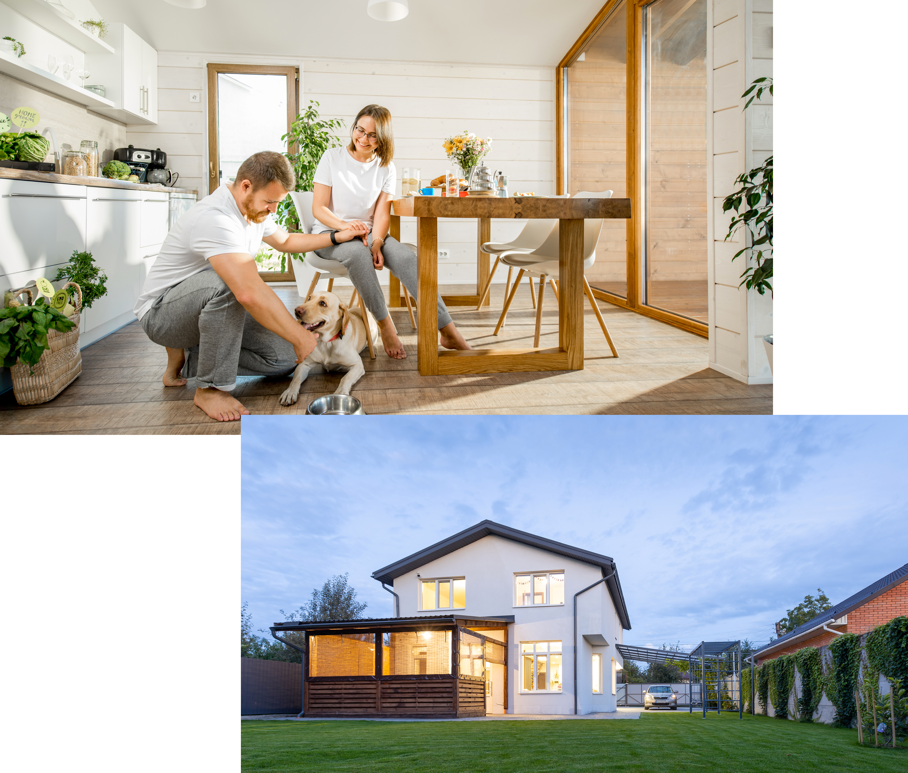 Couple dans une cuisine avec un chien au petit déjeuner, maison moderne avec jardin éclairée