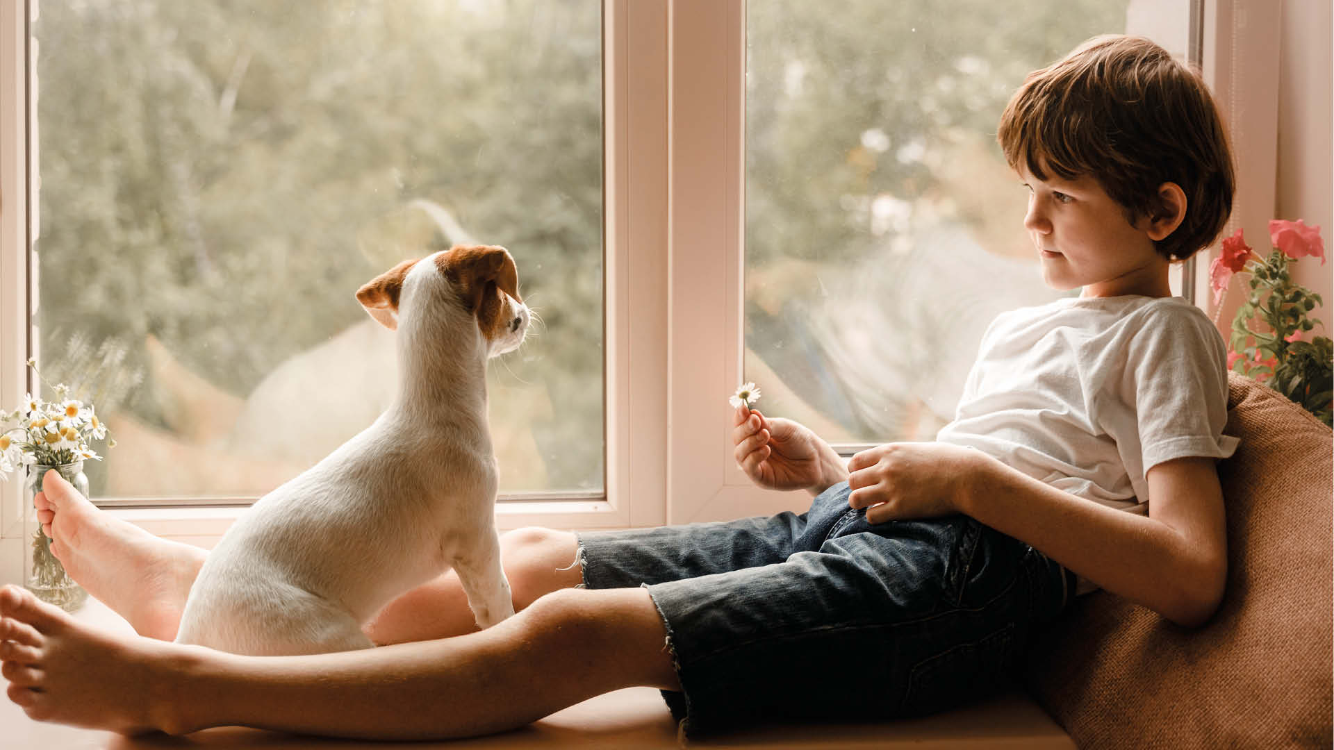 Enfant et chien posé appuie de fenêtre