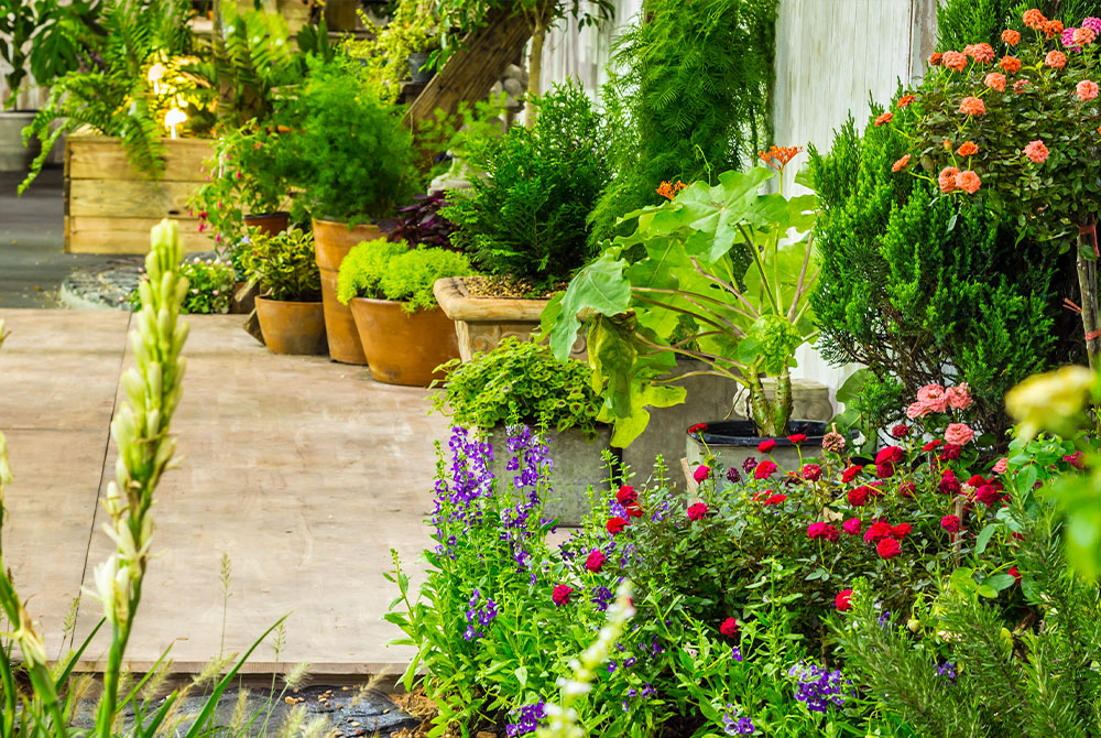 Sensei un jardin aménagé en même temps que la livraison de votre maison