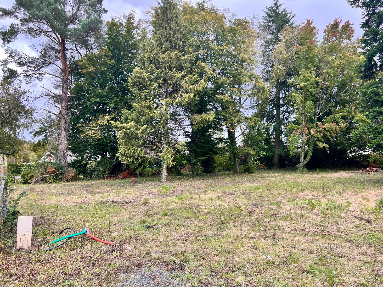 Terrain de maison